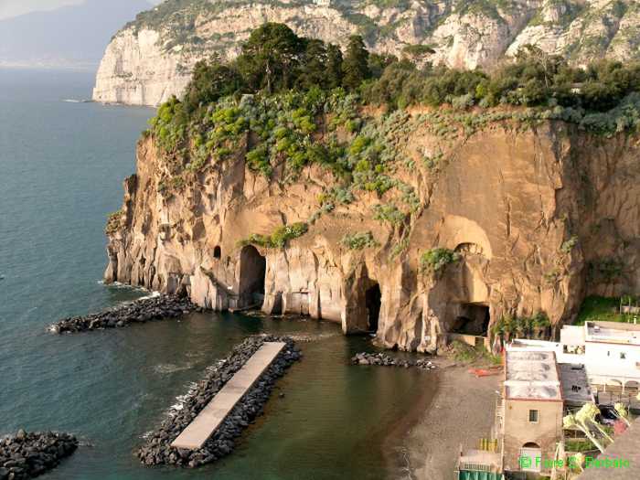 Fiore Silvestro Barbato from Napoli NA Italy